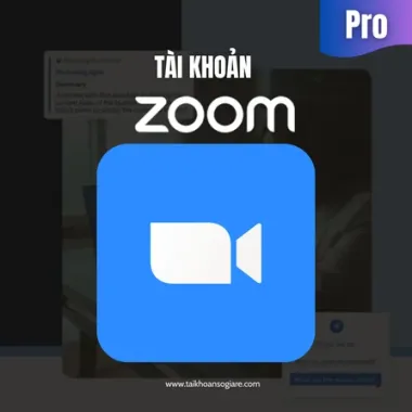Tài Khoản Zoom Pro Giá Rẻ